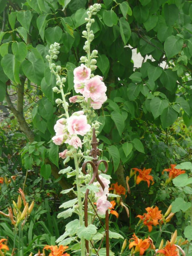 بايو Les Lilas De Bellefontaine المظهر الخارجي الصورة